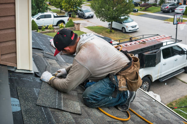 Professional Storm Damage Roof Repair technician working in Steger, IL